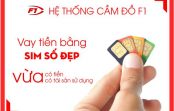cam-sim-so-dep-hai-phong