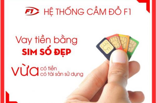cam-sim-so-dep-hai-phong