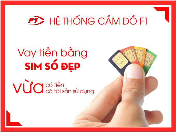 cam-sim-so-dep-hai-phong
