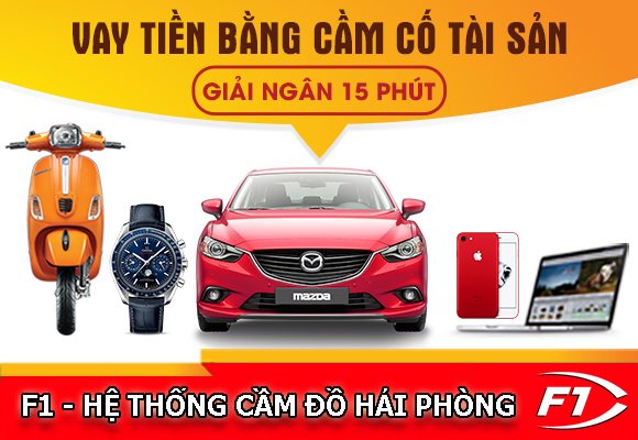 cầm cà vẹt xe ô tô tại Hải Phòng